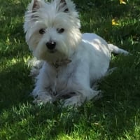 Photo de profil de Iska 
