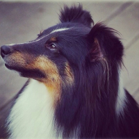 Photo de profil de Elleïla 