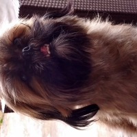 Photo de profil de Jeliska