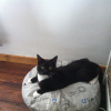 Photo de Noussa 