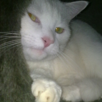 Photo de profil de Lionel