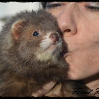 Photo de profil de Mahito