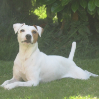 Photo de profil de HIPOP
