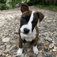 Photo de profil de Linky