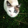 Photo de Poukie