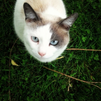 Photo de profil de Poukie