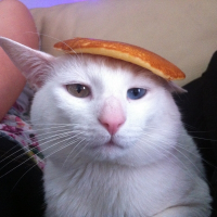 Photo de profil de Mectoob