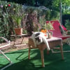 Photo de Cirrus
