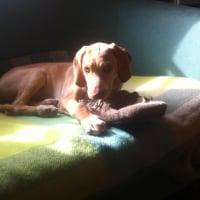 Photo de profil de Thelma