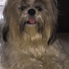 Photo de Snoopy 