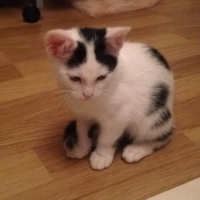 Photo de profil de Hurricane
