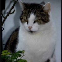Photo de profil de fofo