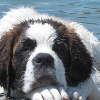 Photo de profil de ixia