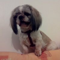 Photo de profil de Gyps