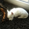 Photo de Léna