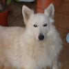 Photo de hades