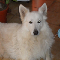Photo de profil de hades