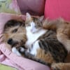 Photo de Cadou