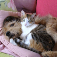 Photo de profil de Cadou