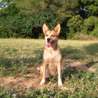 Photo de profil de Kalhya 