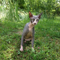 Photo de profil de igor