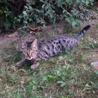 Photo de profil de Mango
