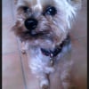 Photo de Willy