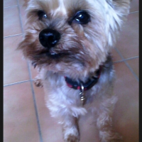Photo de profil de Willy