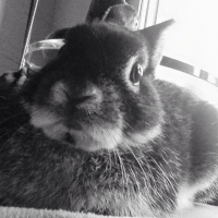 Photo de profil de Messi