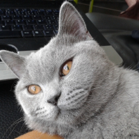 Photo de profil de Jencko
