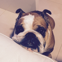 Photo de profil de Lily-Rose