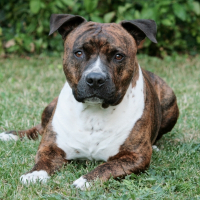 Photo de profil de Kerman