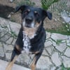 Photo de Nalia