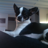 Photo de profil de Irla 