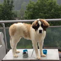Photo de profil de Balibalou