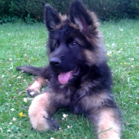 Photo de profil de kuma