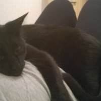 Photo de profil de perceval