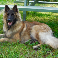Photo de profil de Jedi