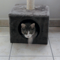 Photo de profil de gribouille