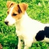 Photo de Teddy