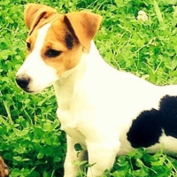 Photo de profil de Teddy
