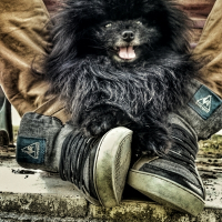 Photo de profil de Gitano 