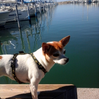 Photo de profil de elfy
