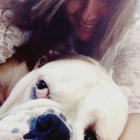 Photo de profil de Capone