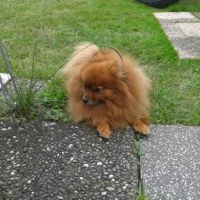 Photo de profil de Bélisou