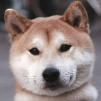 Photo de profil de Ikuji