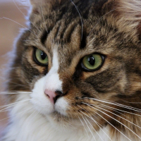 Photo de profil de Boony