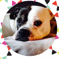 Photo de profil de Dyva