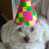 Photo de Mitsy
