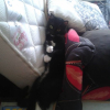 Photo de blackou